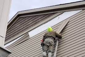 Best Fascia and Soffit Installation  in Lake Arrowhead, ME